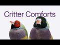 Telus  critter comforts