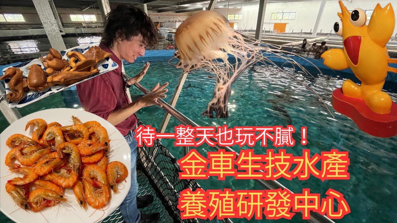 待一整天也玩不膩‼️金車生技水產養殖研發中心🪼🦈🦐