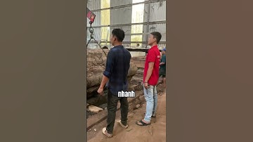 Cách cân tim cây gỗ cẩm hồng khủng lồ 15 tấn | Sơn sập Gỗ