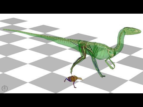 Dinosaurs wagged their tails for a more efficient stride