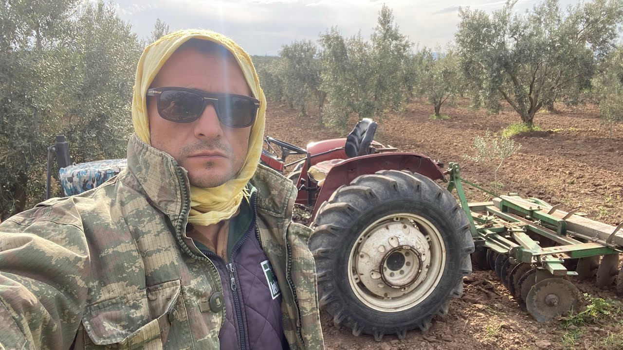 Yabancı Otlarla Mücadele Kapsamında Nisan Ayında Zeytinliğe Diskaro Çekildi.