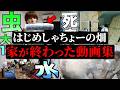 退去費360万…家が終わった動画集【はじめしゃちょーの畑 切り抜き】