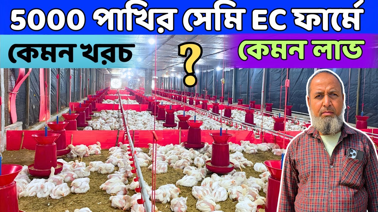 সেমি EC পোল্ট্রি ফার্মে কত খরচ,কত লাভ, কত ইলেকট্রিক বিল সব বিস্তারিত | Semi Ec Poultry Farm