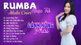 Cánh Hồng Phai, Mối Tình Chiều Mưa Bay Maika Cover - Tuyệt Phẩm Nhạc Trẻ Rumba 8x 9x Hot Tiktok