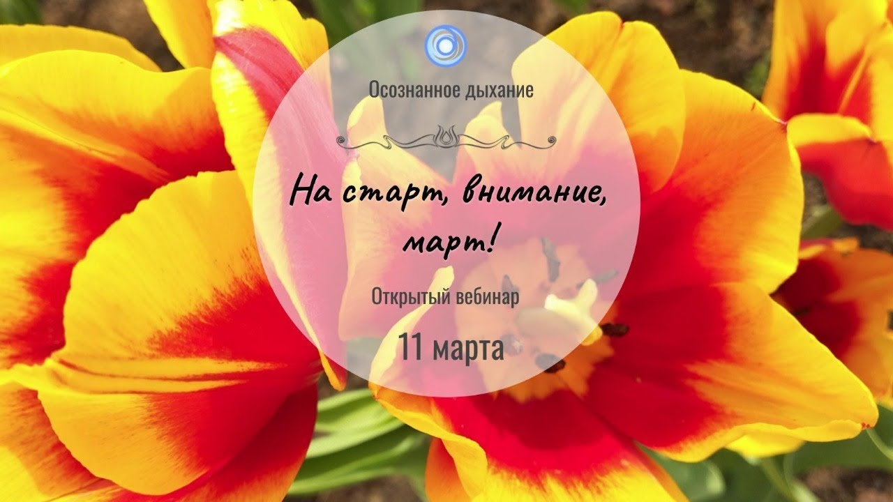 На старт внимание март картинки. На страт внимание март. Открытка на старт внимание март. На старт внимание март картинки прикольные. С первым днем весны на старт внимание март.