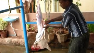 Slaughtering Of Goat Slaughtering Of Goat