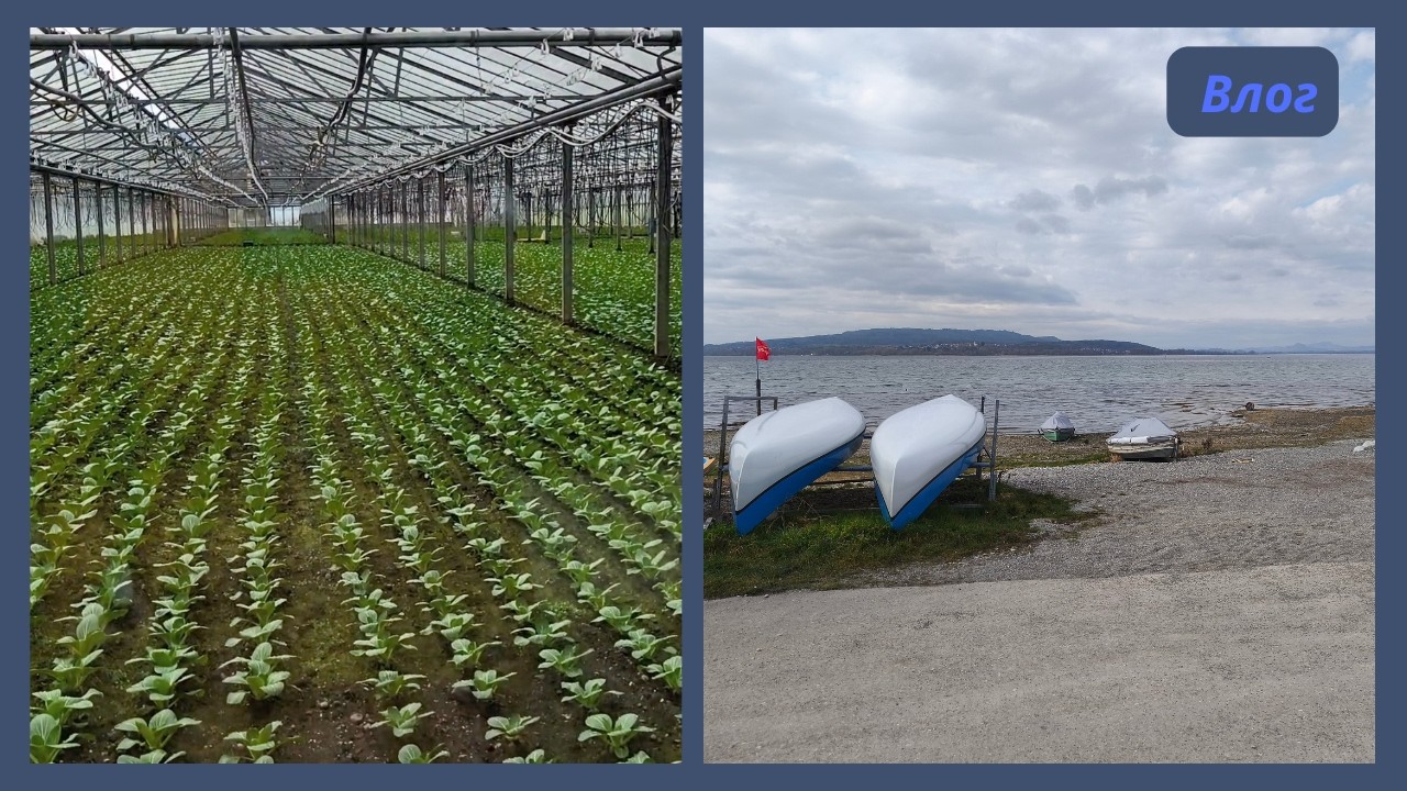 В тандеме с природой/Что я наготовила на выходной ?