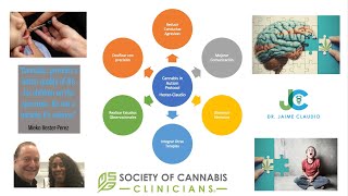 Cannabis Medicinal en Niños y Adolescentes: Autismo, Depresion y Ansiedad