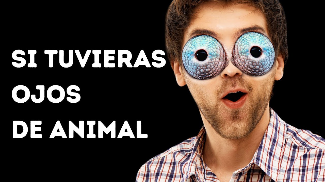 Qu� pasar�a si tuvieras ojos de animal (�podr�as ver tus propios o�dos!)