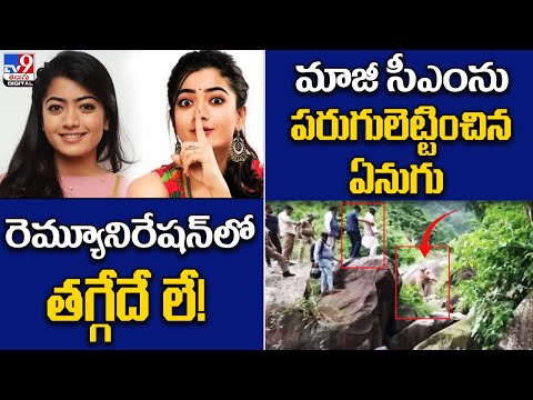 TV9 Digital News Round Up LIVE: రెమ్యూనిరేషన్‌లో తగ్గేదే లే! | మాజీ సీఎం పరుగులెట్టించిన ఏనుగు - TV9