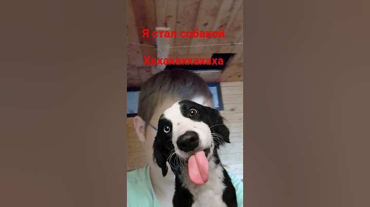 Я стал собакой хахахаххахаха