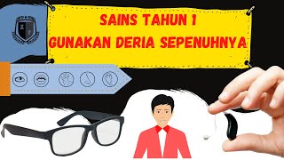Sains Tahun 1-Gunakan Deria Sepenuhnya