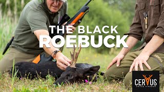 THE BLACK ROEBUCK | Hunting Magic Moments