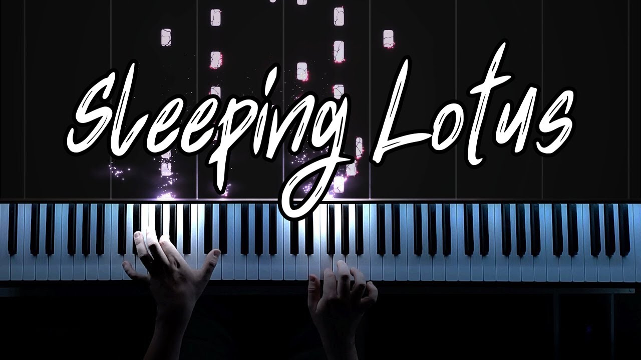 Watch Joep Beving - Sleeping Lotus (Piano Cover) on YouTube Watch Joep Beving - Sleeping Lotus (Piano Cover) on YouTube