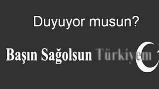 Başın sağolsun türküyem şehitlerimize gelsin Resimi