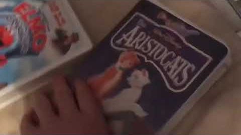 VHS/DVD Collection Videos in a Nutshell (16:9)