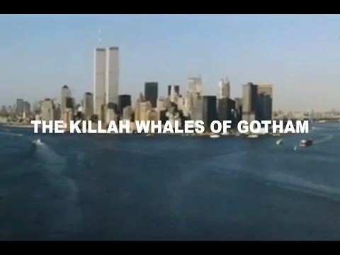 GASHI - The Killah Whales of Gotham [Official Album Trailer]