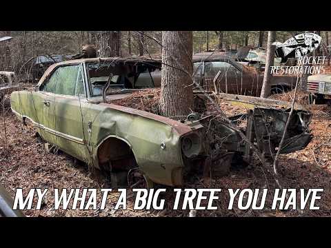 Tour Of AMS Obsolete - The BIGGEST Mopar NOS Part Stash In The World! Plus Junkyard Crawl!