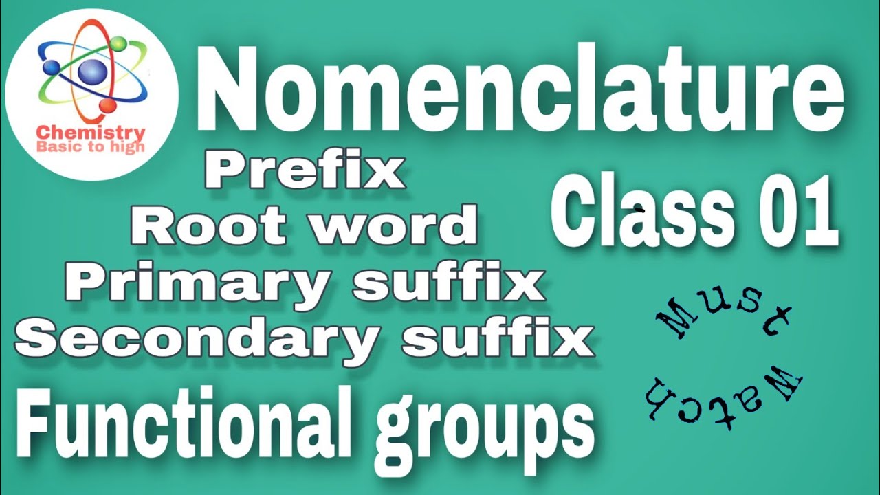 nomenclature-class-01-basic-words-prefix-root-word-primary-suffix