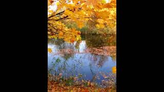 Olmaz Olsun Böyle Sevda