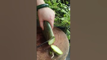 RP 963178 mini rotary tillage and ridging all-in one tree 🌲 short view#subscribe