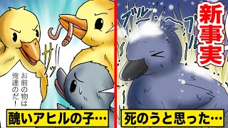 リアルすぎる醜いアヒルの子...実はアヒルは死のうと思っていた...