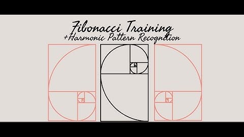 Fib Training + Harmonic Pattern Recognition