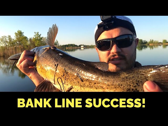 Setting Bank Lines for Big Channel Catfish! 