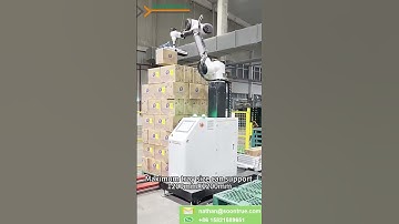collaborative palletizing robot