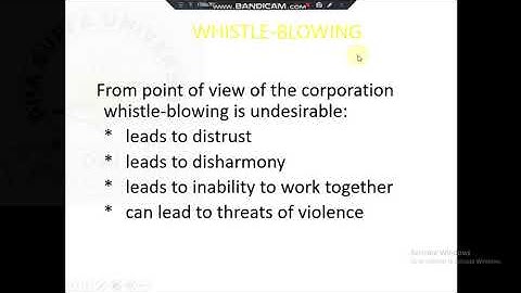 Engineers in Organizations | Engineering Ethics | Chapter 8 part 2 | DSU EE |HZR