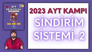 Sindirim Sistemi-2 Ayt Biyoloji Kampı Konu Anlatımı 11Sınıf 2024 Tayfa