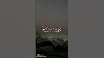 قران كريم الشيخ ياسر الدوسري #قران_كريم #اكسبلور #لايك #تلاوة_خاشعة #تلاوات #ياسر_الدوسري