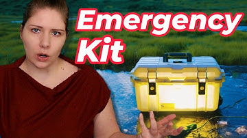 Create a Lifesaving Pet Emergency Kit | Vet