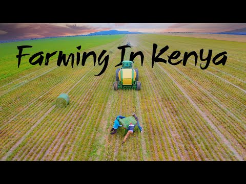 Video: Kur Kenijā audzē sizalu?
