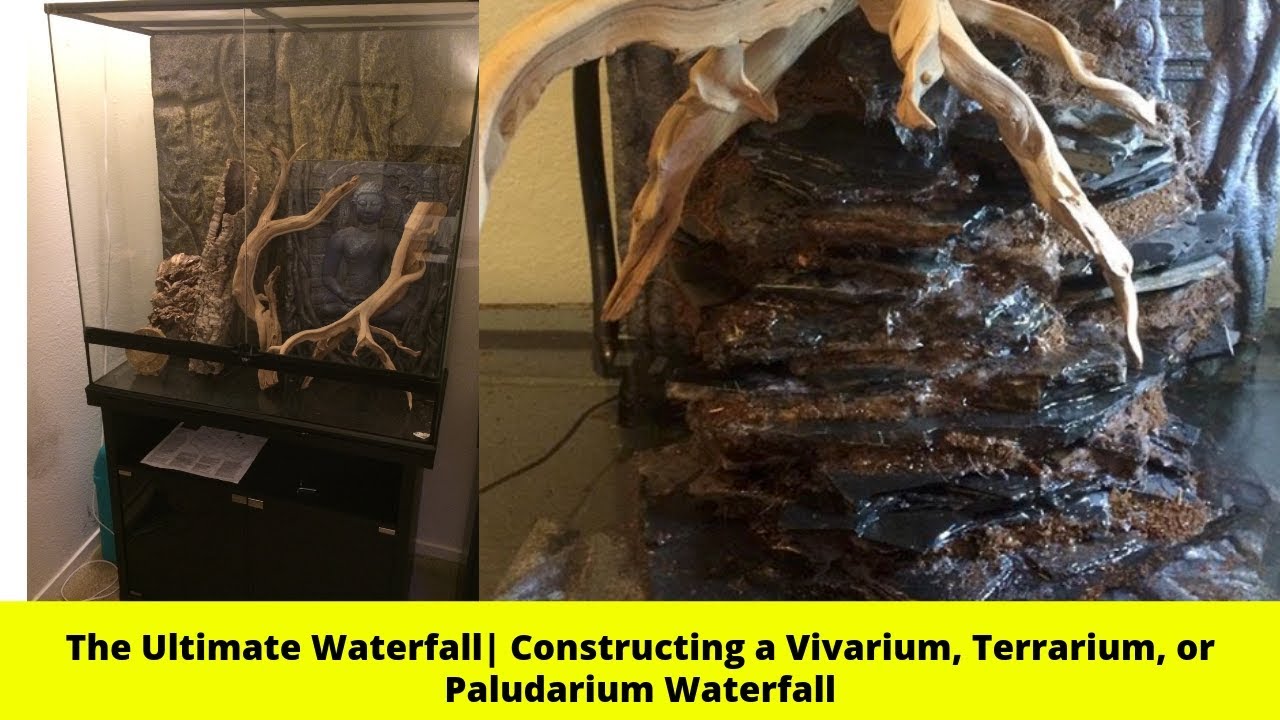 Lejlighedsvis I støbt The Ultimate Waterfall | Constructing a Vivarium, Terrarium, or Paludarium  Waterfall - YouTube