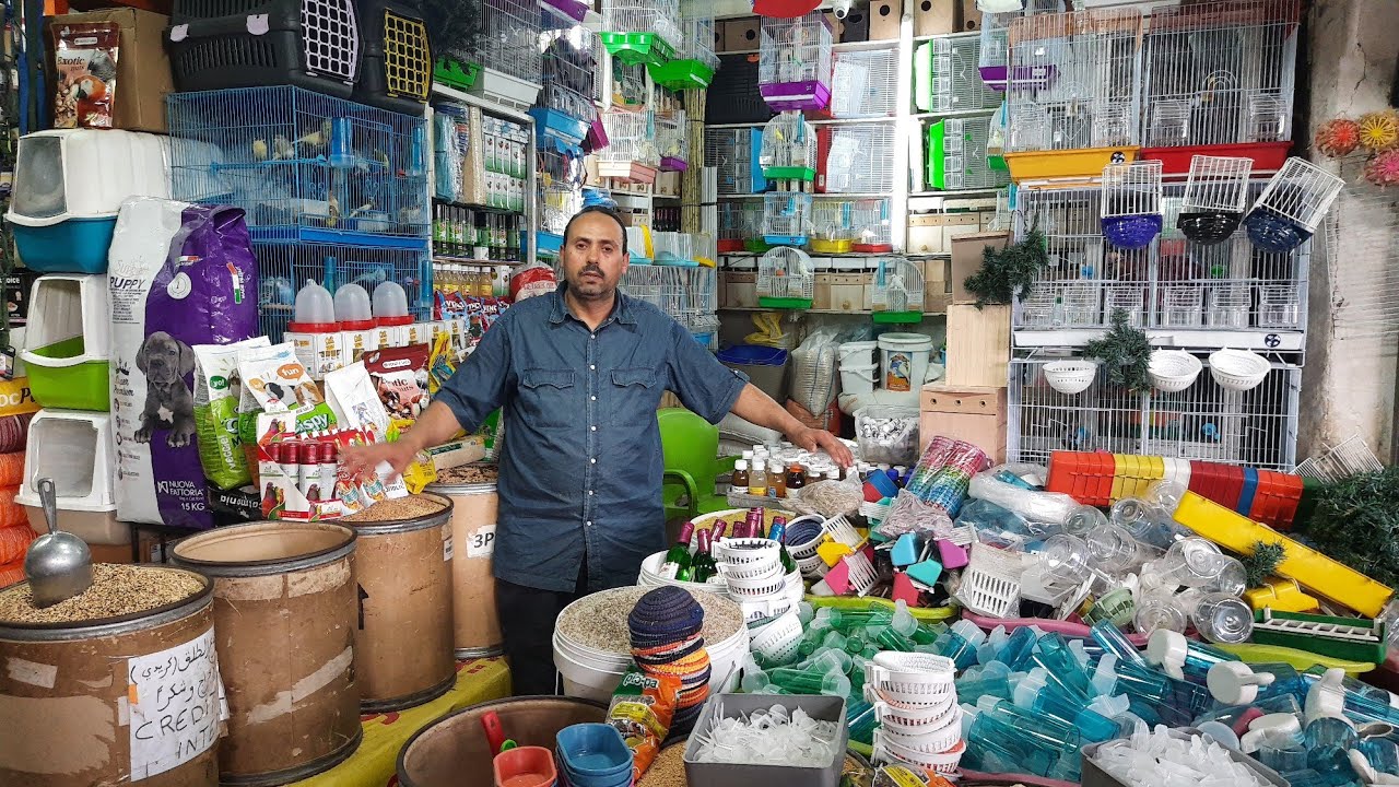 أتمنة الأعشاش الأقفاص البذور🌾جميع مستلزمات الطيور عند الرغراغي  الدار البيضاء #سوق_القريعة