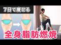 7日で脂肪を落とす筋トレ＋有酸素運動🔥本気で痩せたい人のための全身脂肪燃焼エクササイズ