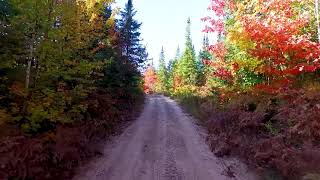 UP McMillan Township 1240 Acres Luce County