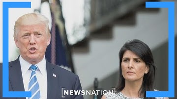 Fmr. Congressman: Haley has zero chance of winning GOP nomination  |  Dan Abrams Live