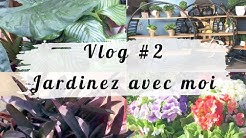 VLOG#2👩🏻‍🌾Jardinez avec moi : Arrosage de plantes d’intérieur, Rempotage et bouturage succulentes