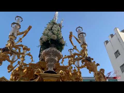 Real, Antigua, Ilustre y Fervorosa Hermandad de la Santa Cruz y Nuestra Señora del Rosario y Archicofradía de Nazarenos del Santísimo Cristo de Las Aguas, Nuestra Madre y Señora del Mayor Dolor y María Santísima de Guadalupe