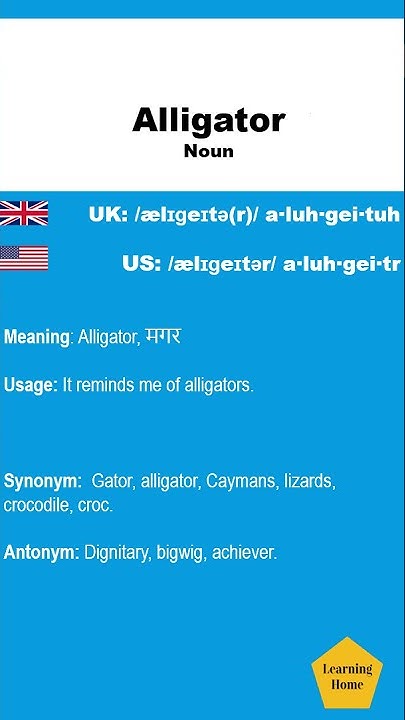 Alligator meaning pronunciation and synonyms #Shorts - YouTube