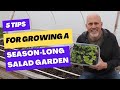 5 Tips for growing a season long salad garden