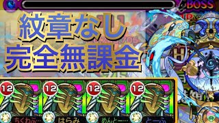 まこと虫 【金鯱セッカ】自社交配/実生苗/モンスト☆綴化☆マニア必見 mqdefault.jpg