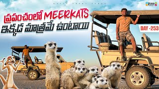 ప్రపంచంలో Meerkats ఇక్కడ మాత్రమే ఉంటాయి | WORLD RIDE DAY 253 | Bayya Sunny Yadav