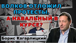 Кагарлицкий: Волков отменил митинги, а Навальный в курсе?