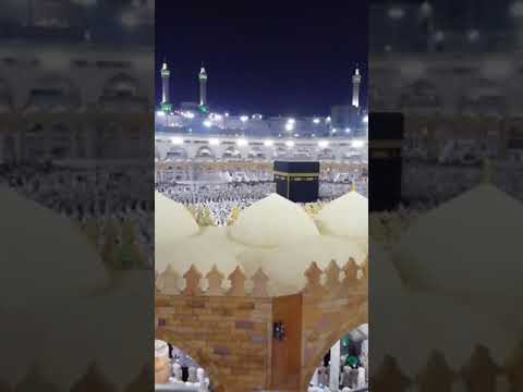 تلاوة جميلة من سورة النجم للشيخ د بندر بليله عشاء الثلاثاء ١٨ ٤ ١٤٤٠هـ