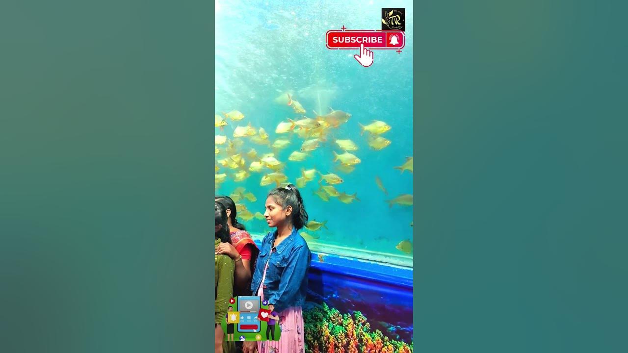 ExhibitionUnder Water Fish Tunnel ExpoFirst time in Warangal aquarium telangana warangal
