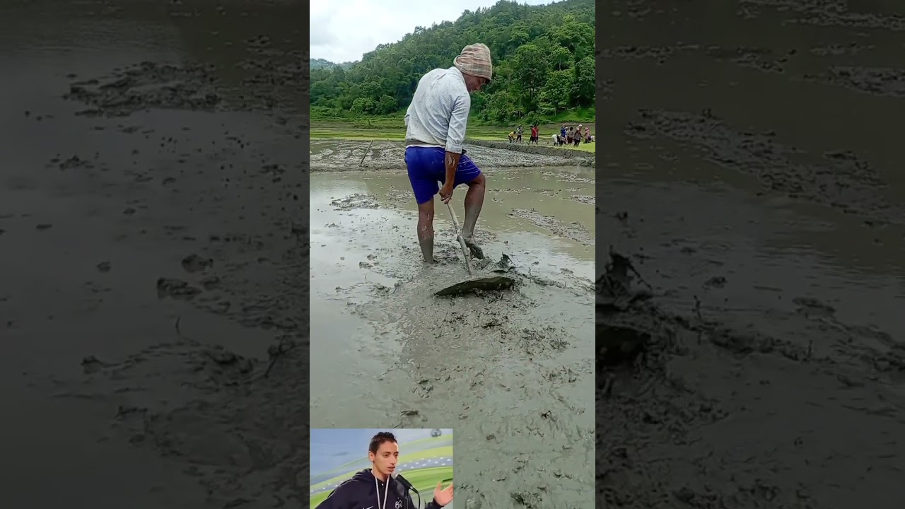 paddy field funny 😂 