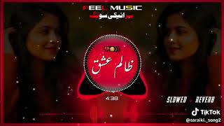 Tu Jine Marzi Dukh Da La  Dukh Sahan Di Aadat pe Gayi Hai Ahmad Nawaz Cheena song 2026